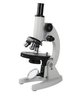 Compound microscope